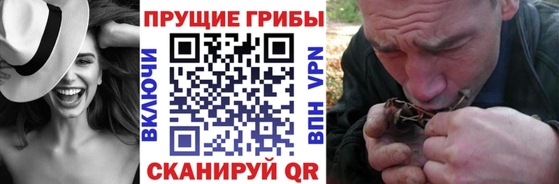 Галлюциногенные грибы Cubensis  Серафимович 